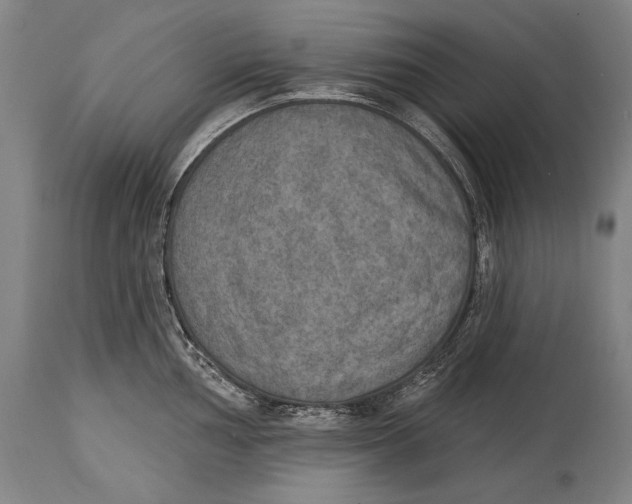 X0000115071002200911171126