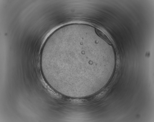 X0000115071004200911171126