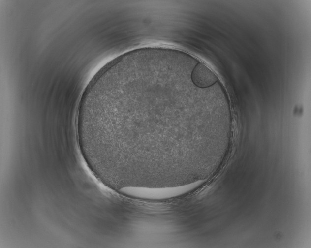 X0000115071007200911171126