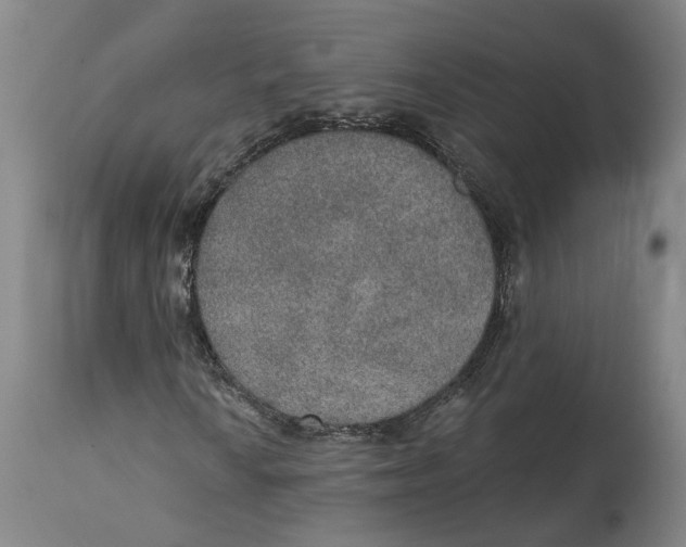 X0000115071010200911171125