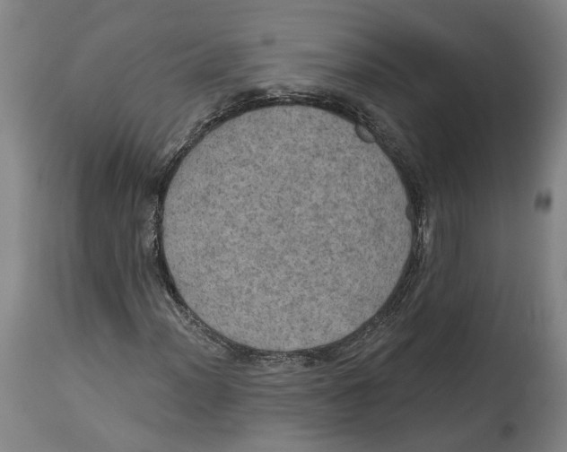 X0000115071012200911171125
