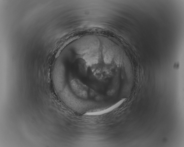 X0000115071013200911171125