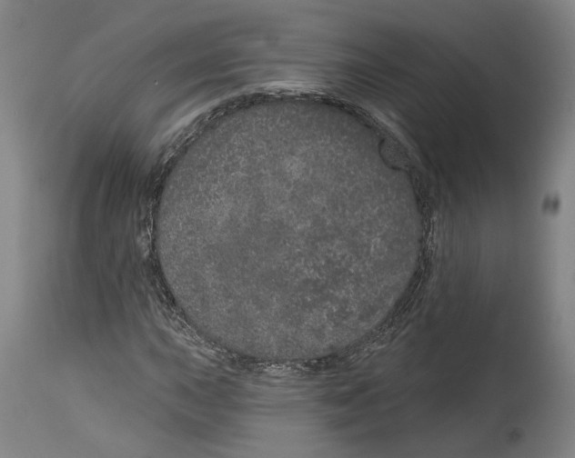 X0000115071015200911171125
