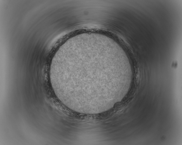 X0000115071016200911171125
