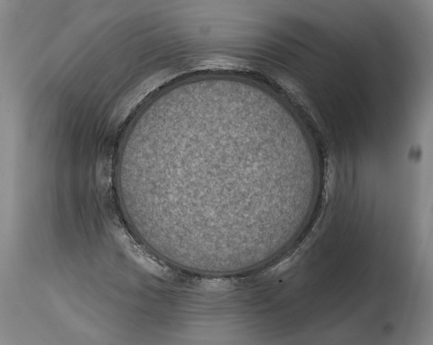 X0000115071017200911171125