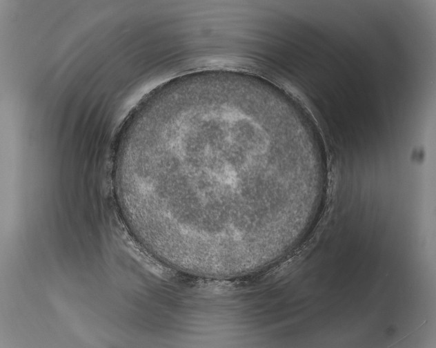 X0000115071019200911171125