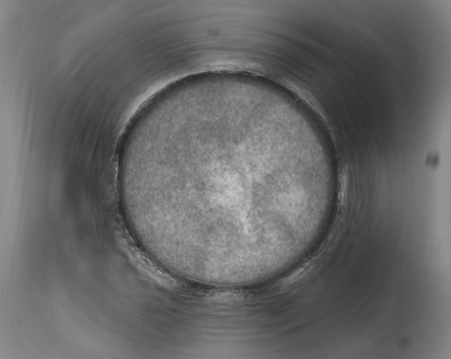 X0000115071021200911171125