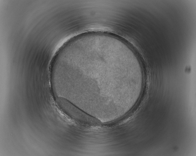 X0000115071022200911171125