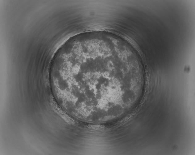 X0000115071023200911171125