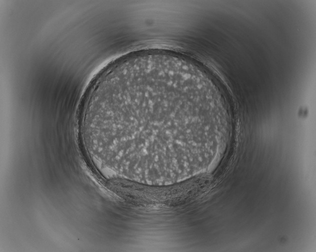 X0000115071024200911171125