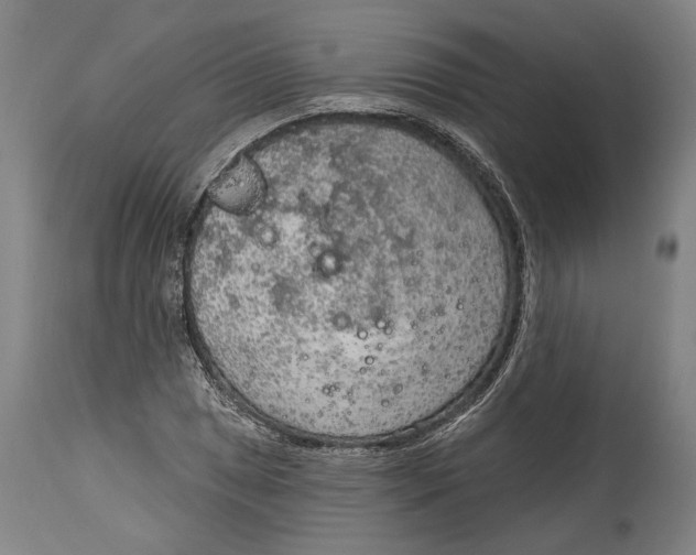 X0000115071025200911171125