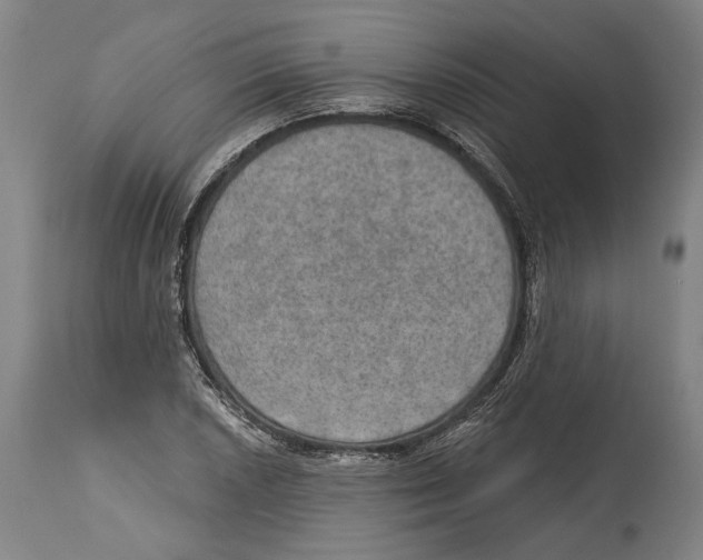 X0000115071026200911171125
