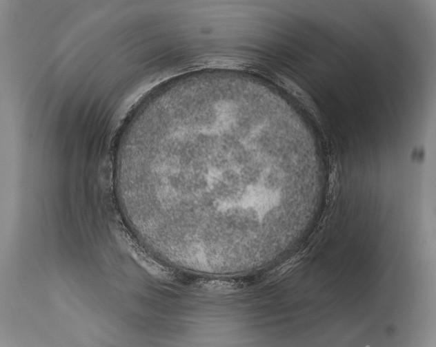 X0000115071027200911171125