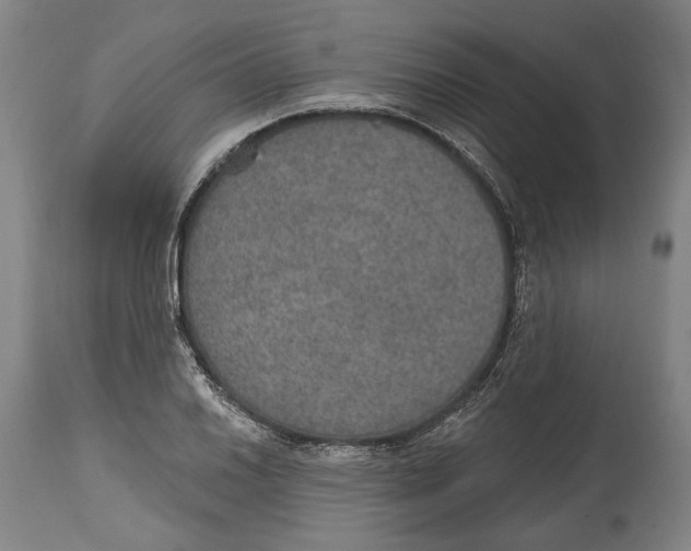 X0000115071030200911171125