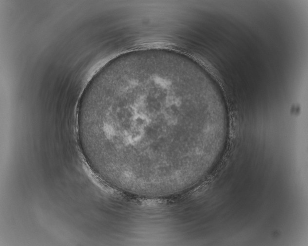 X0000115071031200911171125
