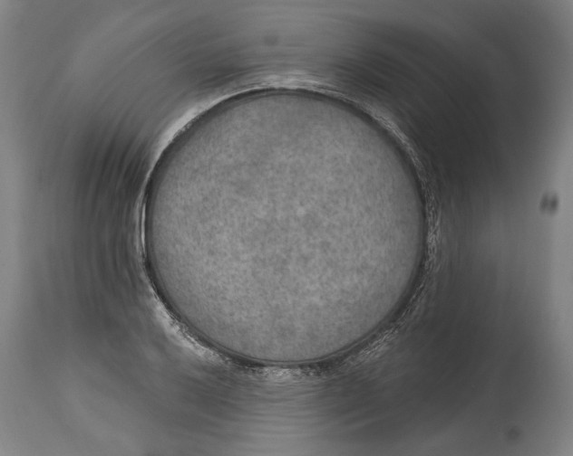 X0000115071032200911171125