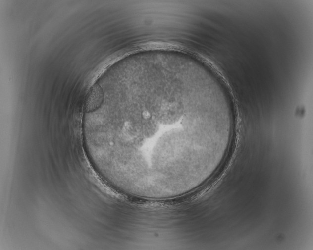 X0000115071033200911171125