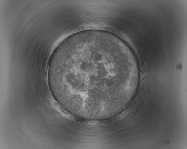 X0000115071035200911171125
