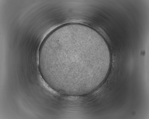 X0000115071036200911171125