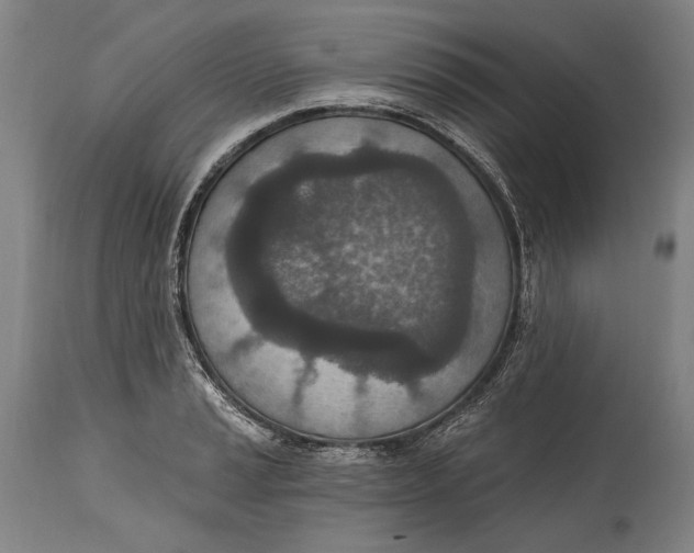 X0000115071037200911171125
