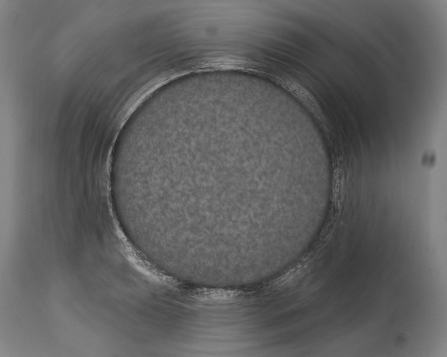 X0000115071039200911171126