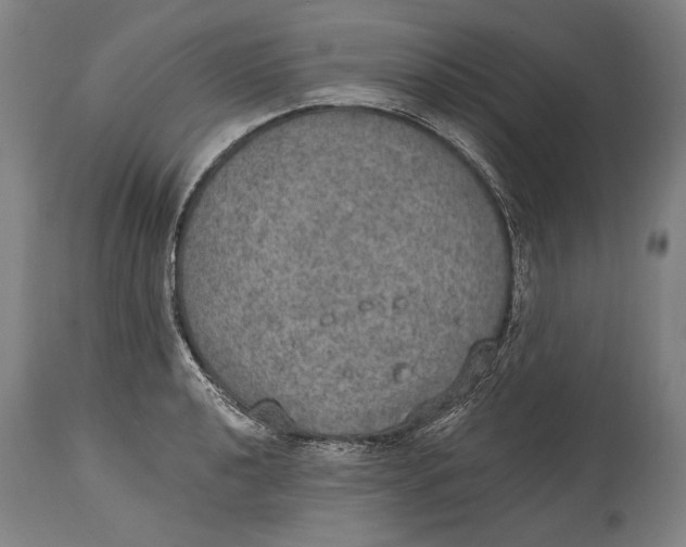X0000115071040200911171126