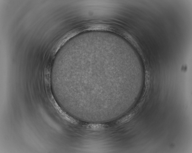 X0000115071041200911171126