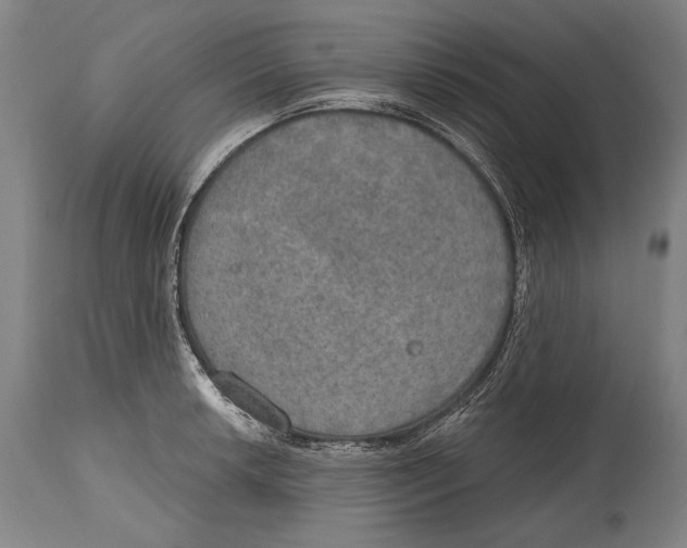 X0000115071042200911171126