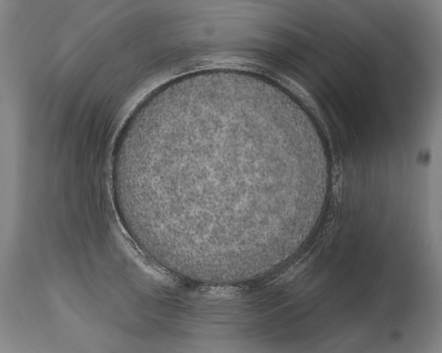 X0000115071043200911171126