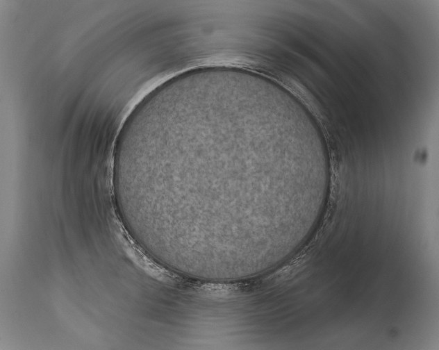 X0000115071044200911171126