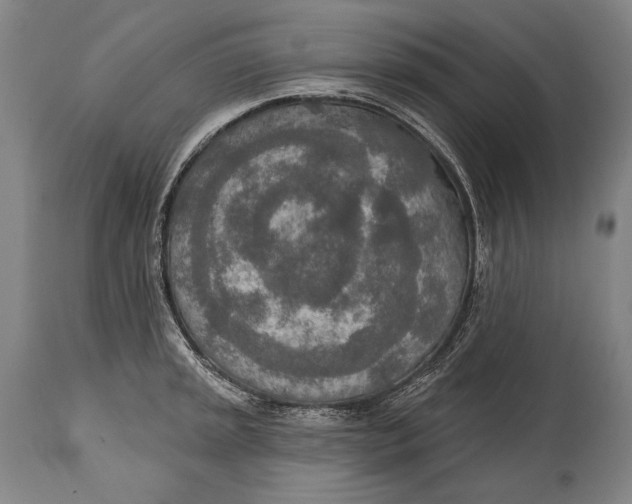 X0000115071045200911171126