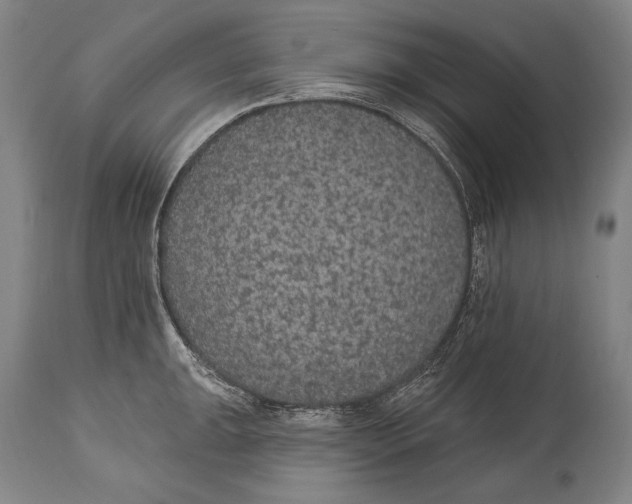 X0000115071047200911171126