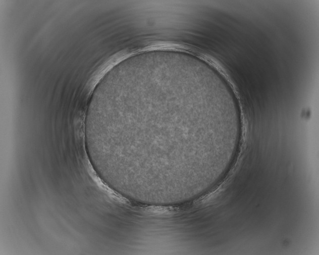 X0000115071049200911171126