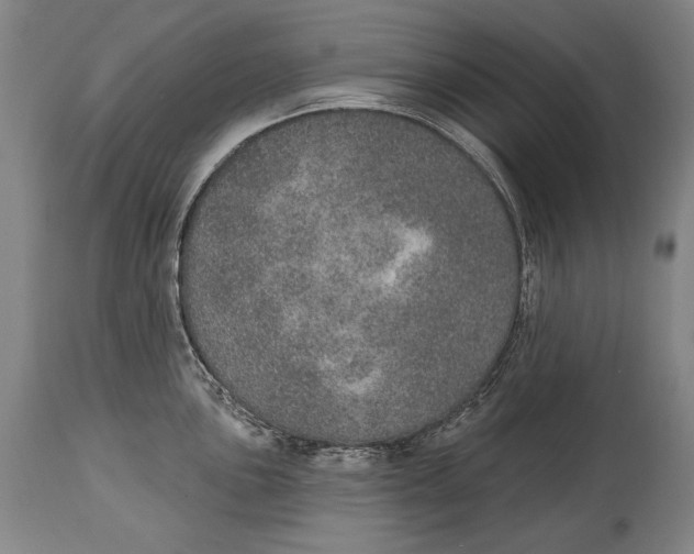 X0000115071051200911171126