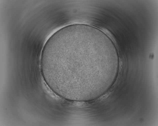 X0000115071052200911171126