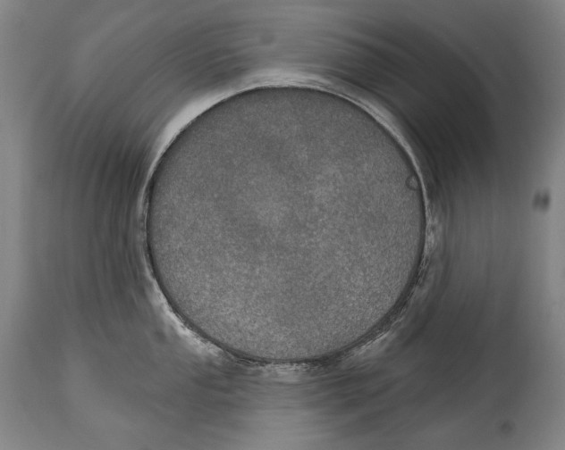 X0000115071053200911171126