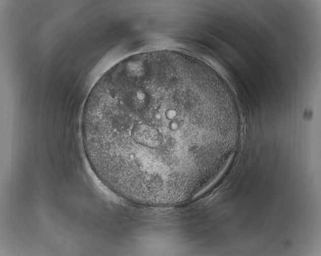 X0000115071055200911171126