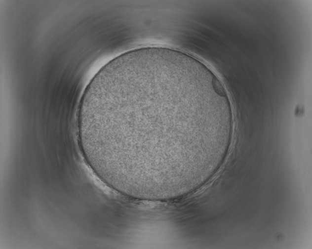 X0000115071056200911171126