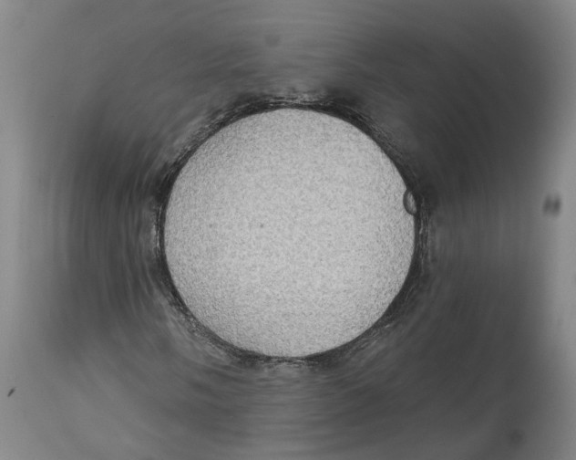 X0000115071058200911171125