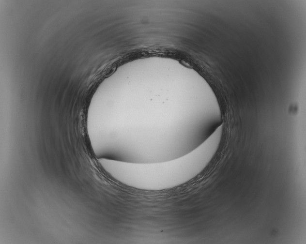 X0000115071060200911171125