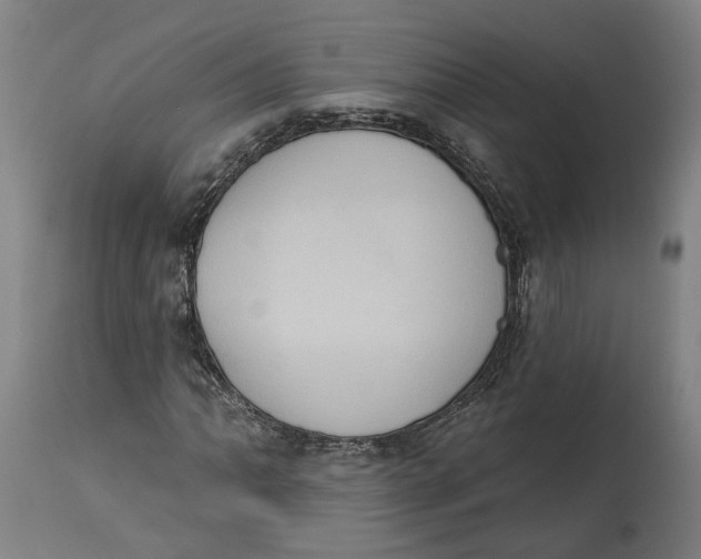X0000115071062200911171125