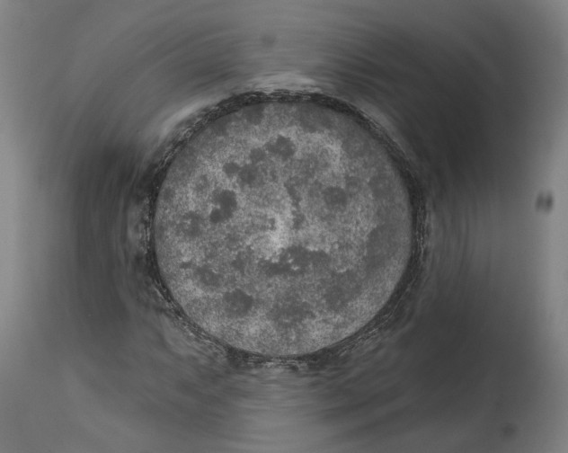 X0000115071063200911171125