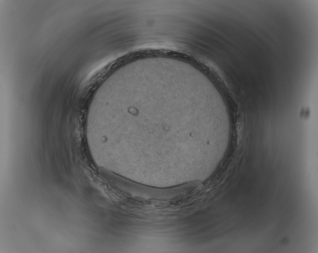 X0000115071064200911171125