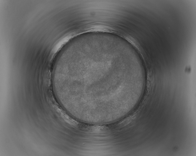 X0000115071067200911171125