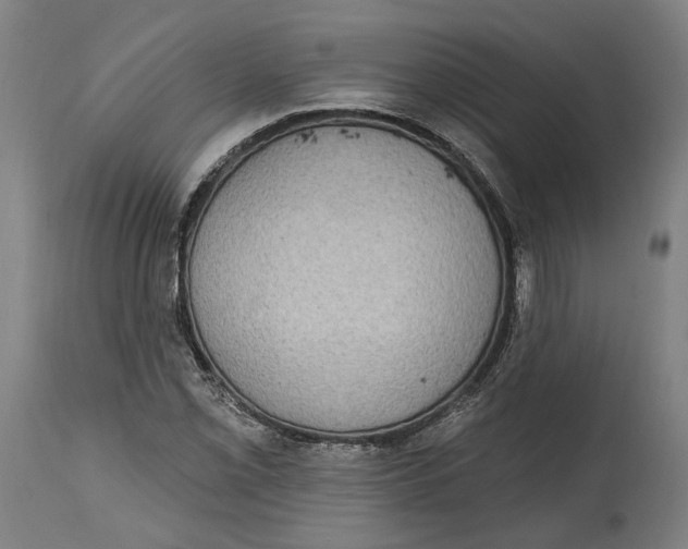 X0000115071069200911171125