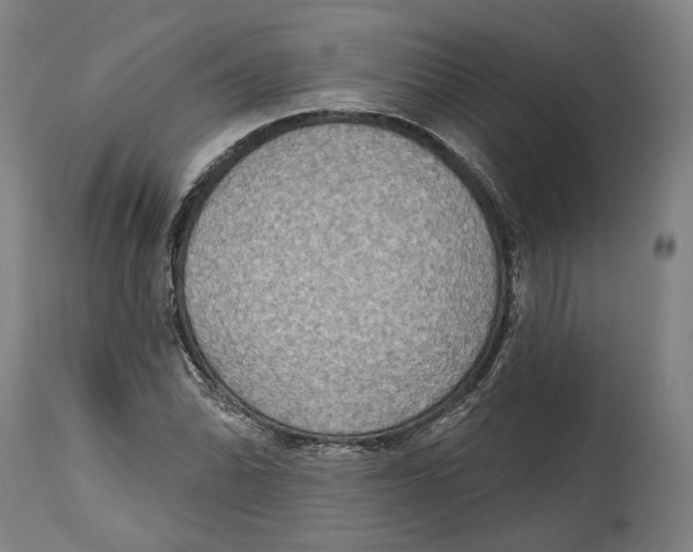X0000115071070200911171125