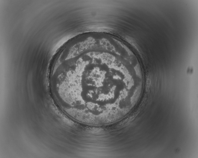 X0000115071071200911171125