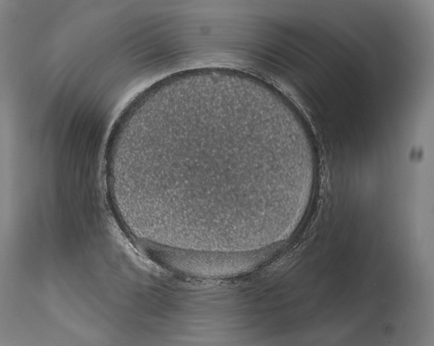 X0000115071072200911171125