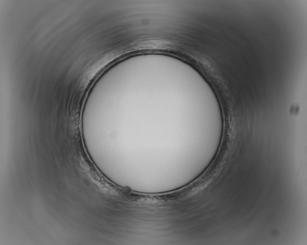 X0000115071073200911171125