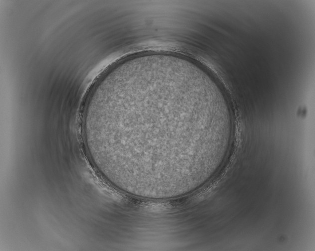 X0000115071074200911171125